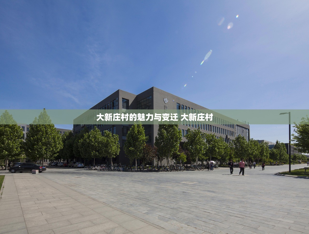 大新庄村的魅力与变迁 大新庄村