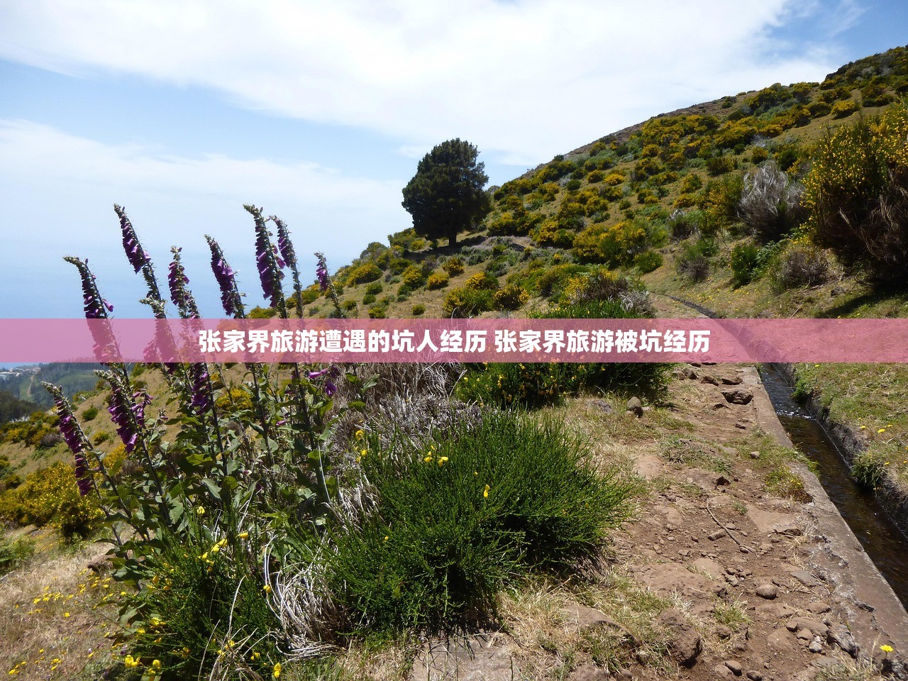 张家界旅游遭遇的坑人经历 张家界旅游被坑经历