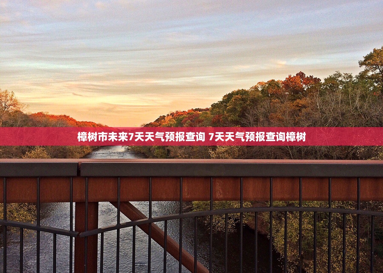 樟树市未来7天天气预报查询 7天天气预报查询樟树