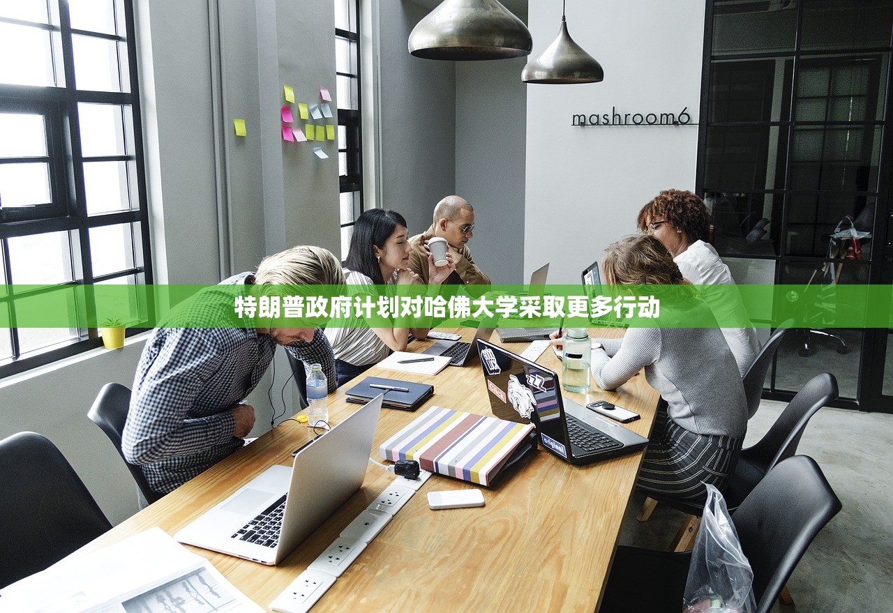特朗普政府计划对哈佛大学采取更多行动