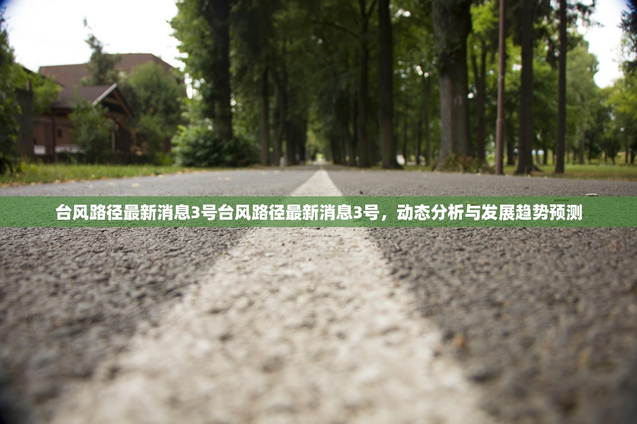 台风路径最新消息3号台风路径最新消息3号，动态分析与发展趋势预测