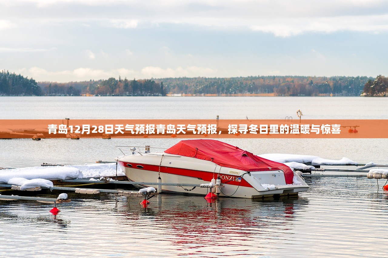 青岛12月28日天气预报青岛天气预报，探寻冬日里的温暖与惊喜