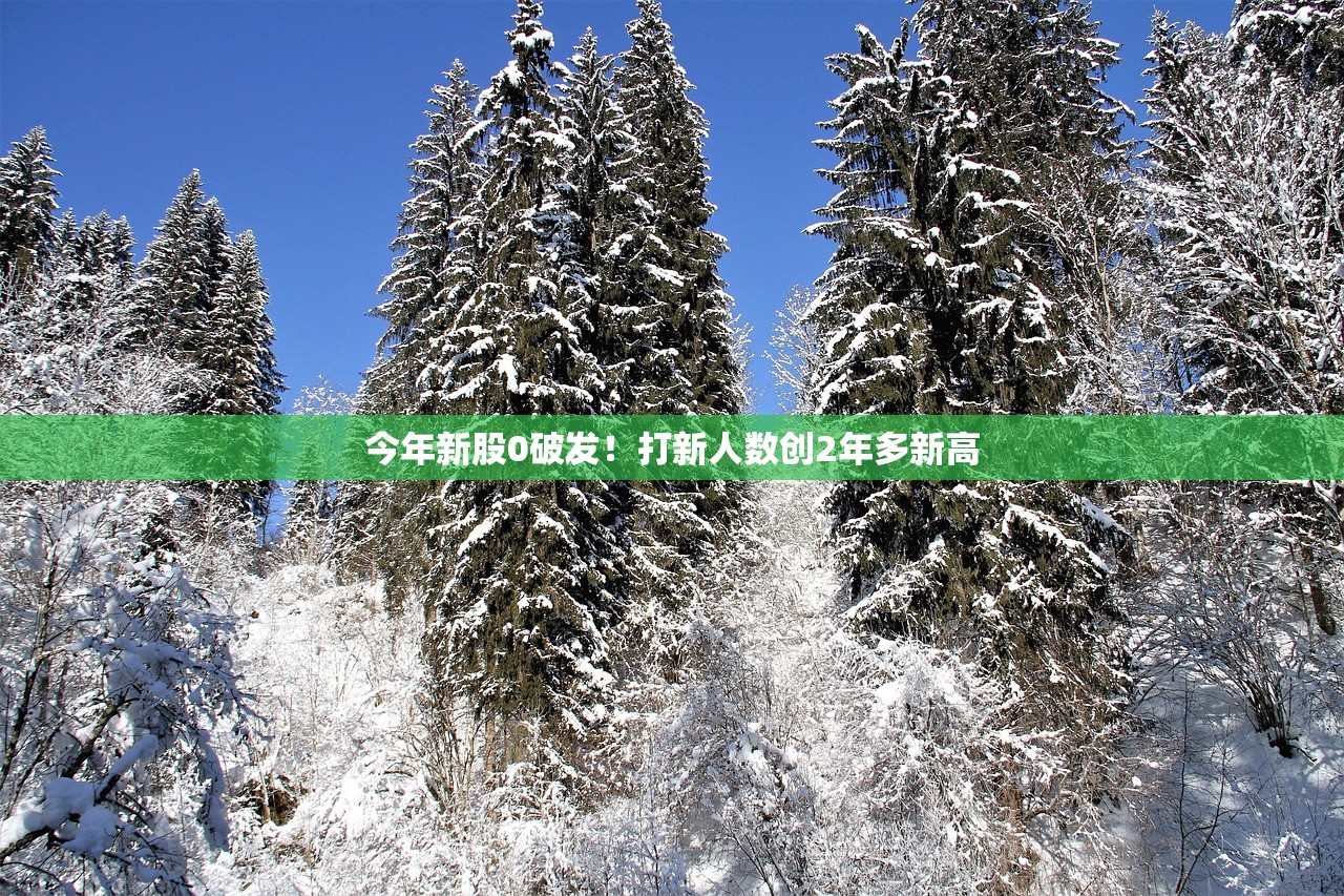 今年新股0破发！打新人数创2年多新高