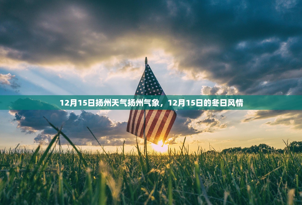 12月15日扬州天气扬州气象，12月15日的冬日风情
