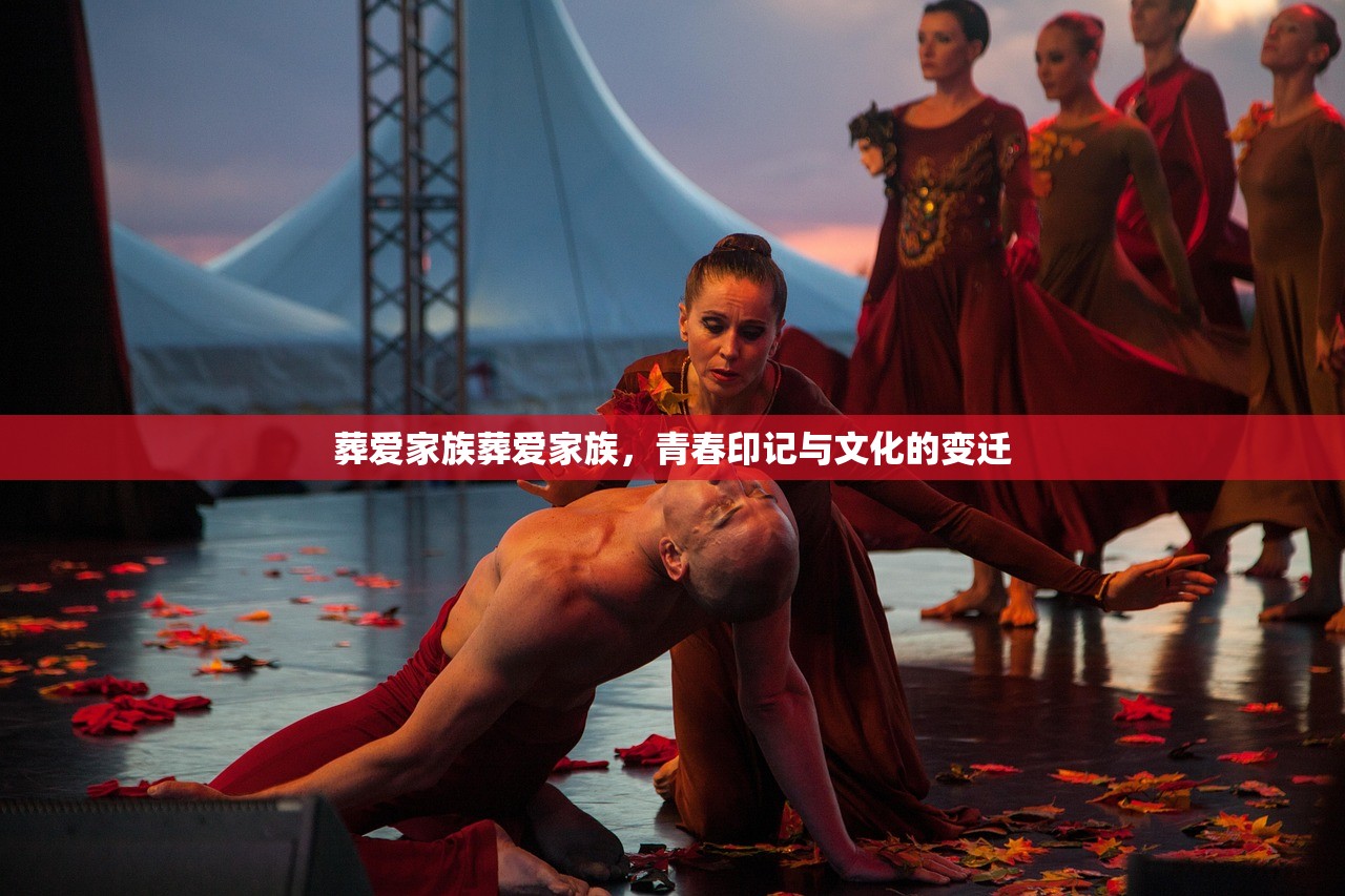 葬爱家族葬爱家族，青春印记与文化的变迁