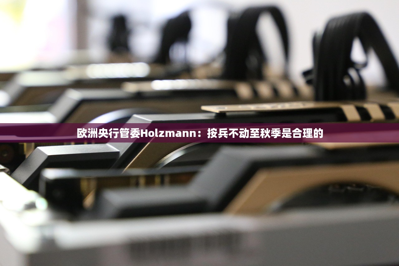 欧洲央行管委Holzmann：按兵不动至秋季是合理的