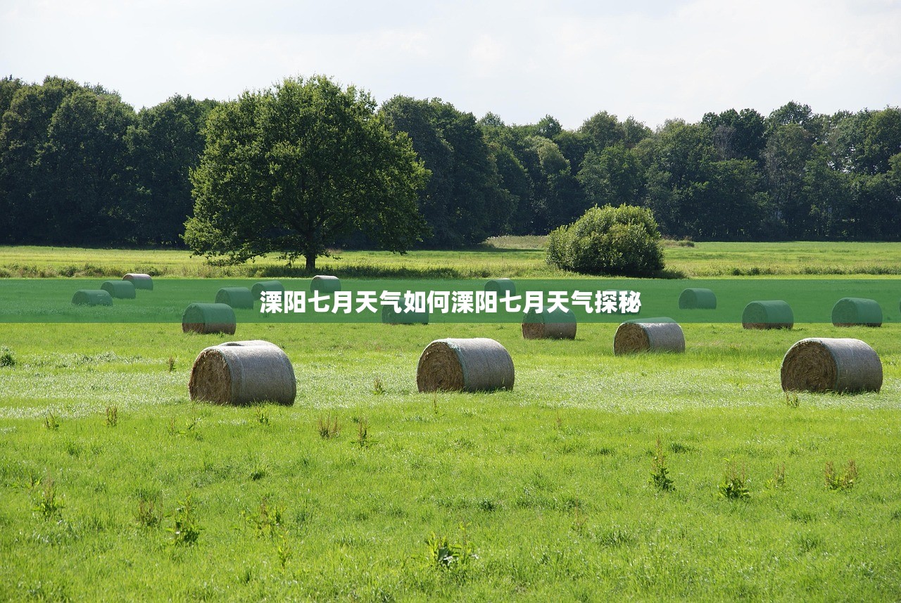 溧阳七月天气如何溧阳七月天气探秘