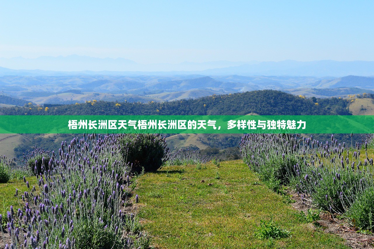 梧州长洲区天气梧州长洲区的天气，多样性与独特魅力