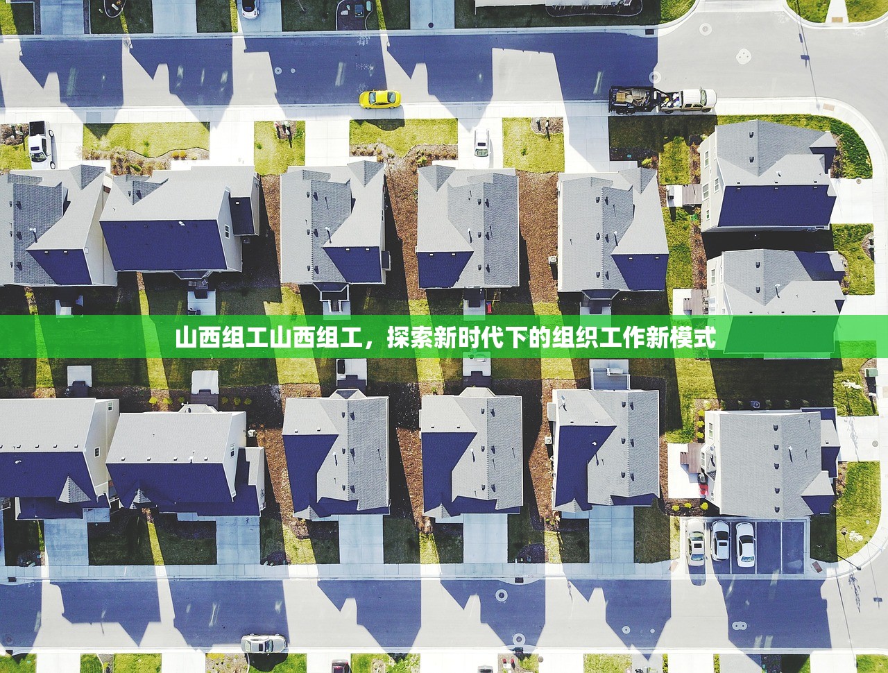 山西组工山西组工，探索新时代下的组织工作新模式