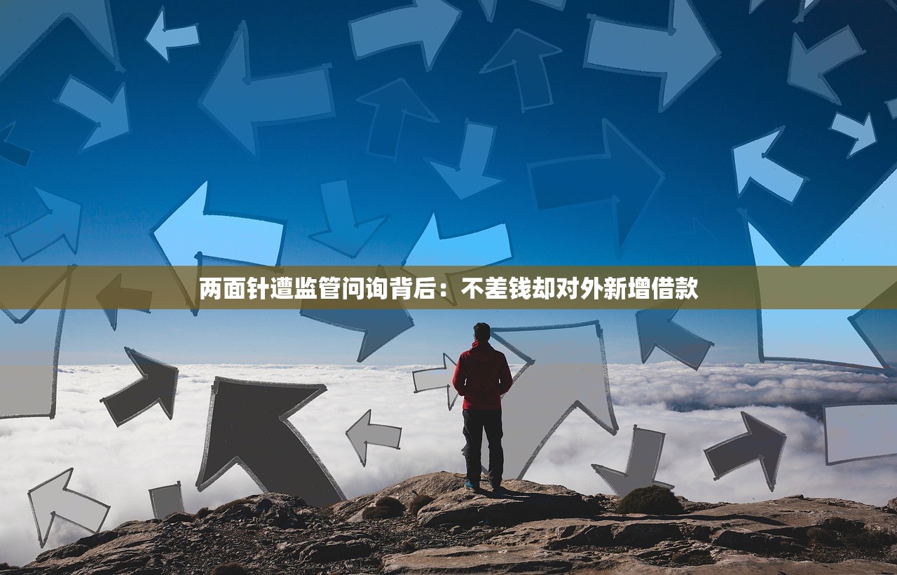 两面针遭监管问询背后：不差钱却对外新增借款