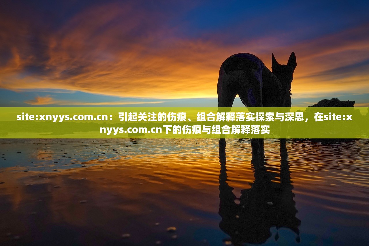 site:xnyys.com.cn：引起关注的伤痕、组合解释落实探索与深思，在site:xnyys.com.cn下的伤痕与组合解释落实