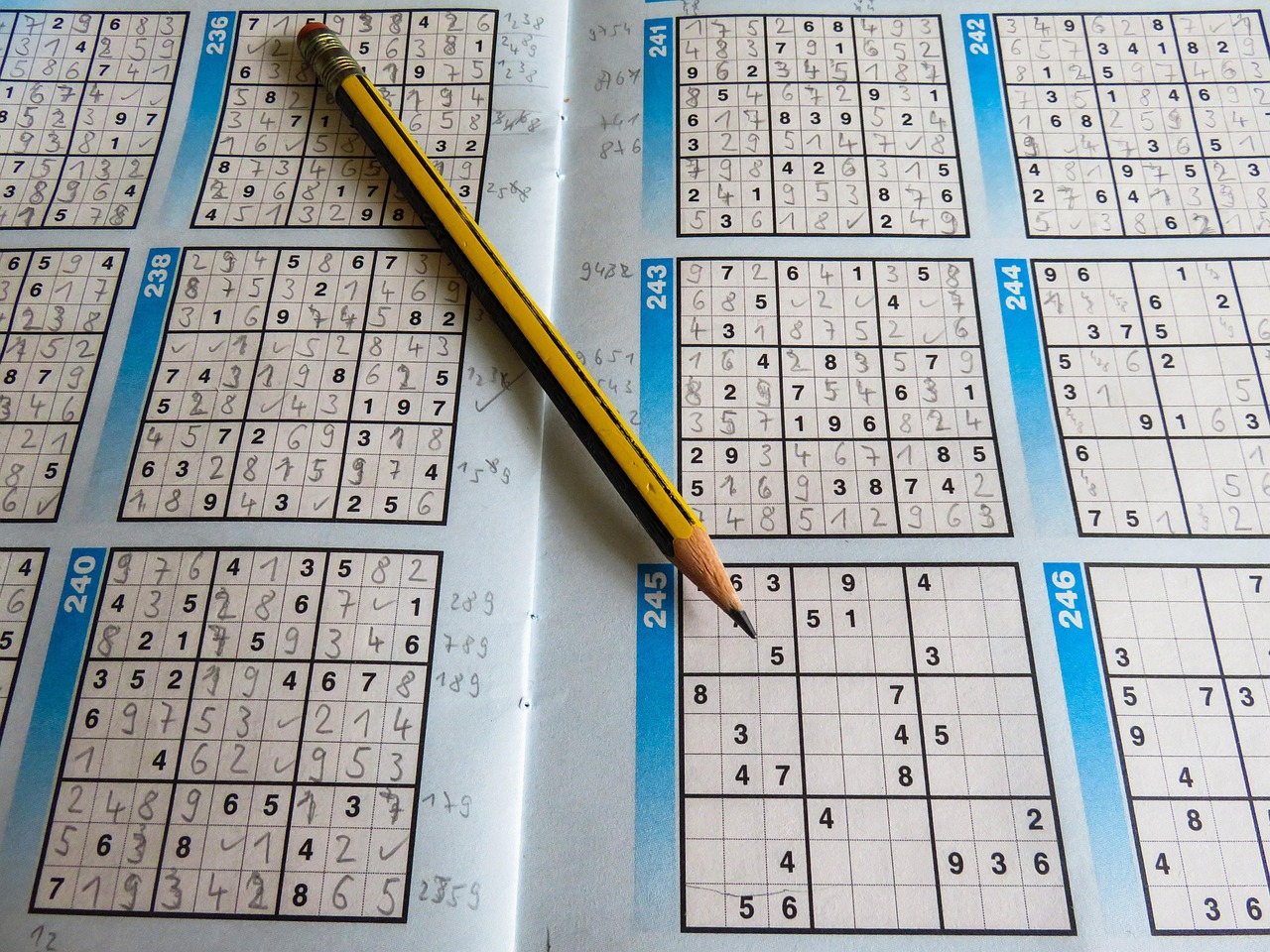 小学秋季体育工作计划 小学秋季体育工作计划，构建健康活力校园