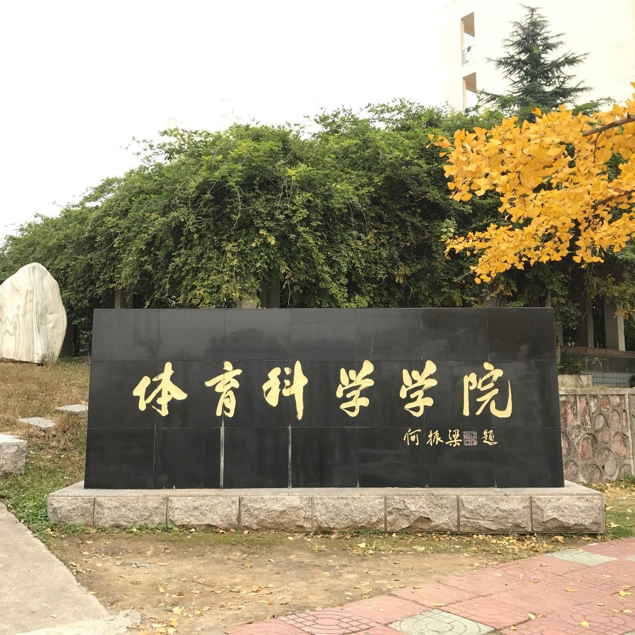体育科技学院，培养新时代体育人才的摇篮 体育科技学院