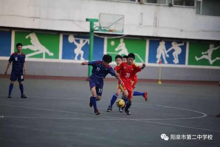 专业体育，超越竞技，塑造未来 专业体育