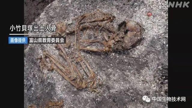 金泽与北九州，一场文化与历史的较量 金泽vs北九州