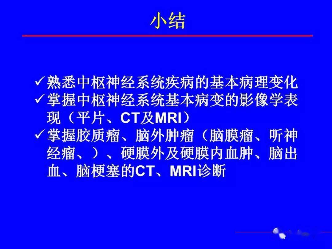 探寻差异，6尾VS现象深度解析 6尾vs