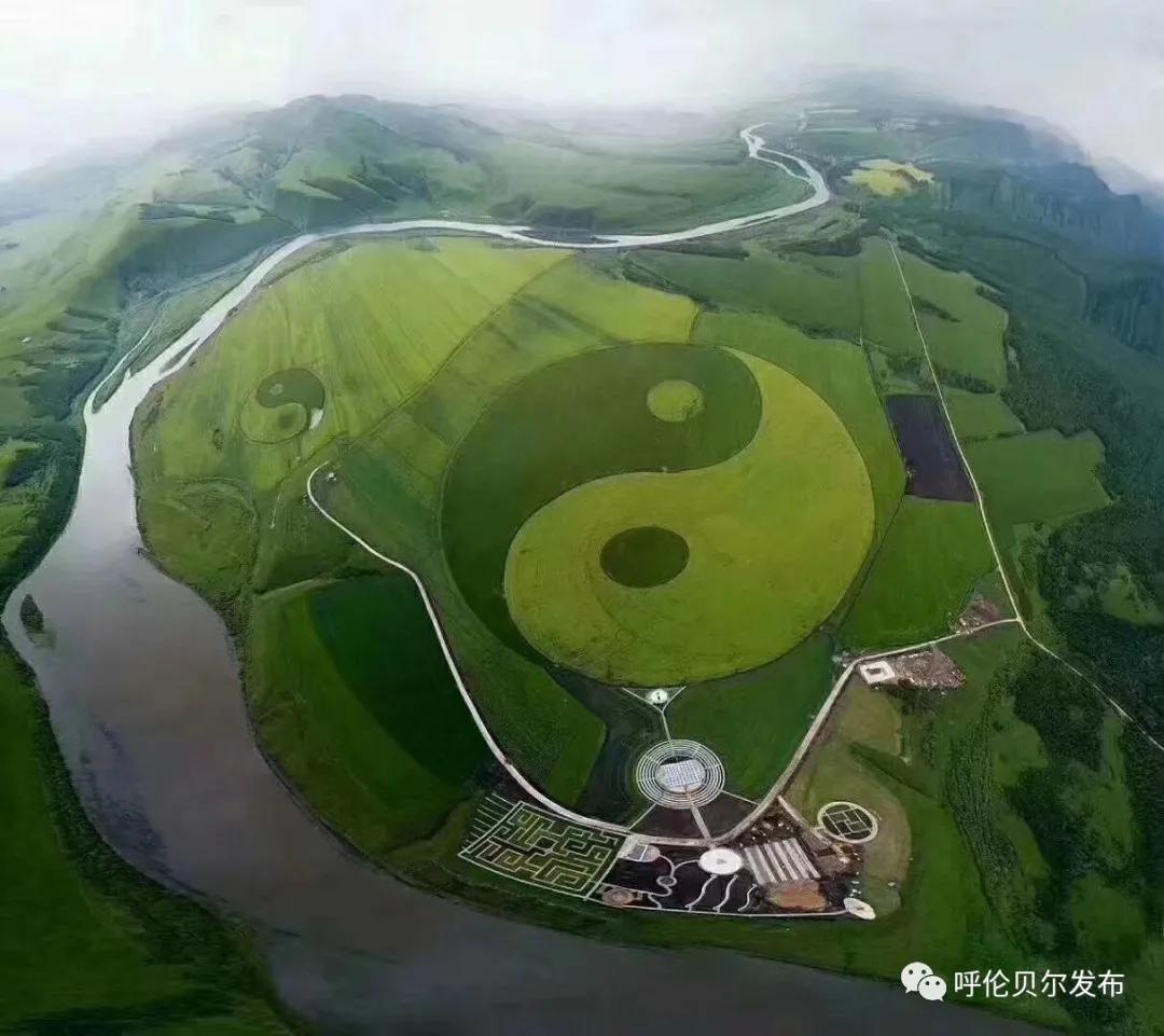 王与小麦，一场跨界的对决 王VS小麦