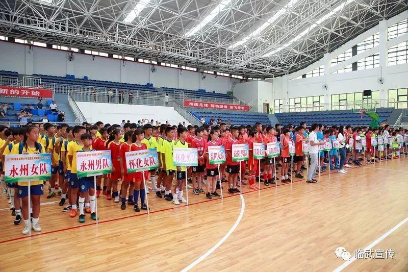 国内足球，蓬勃发展与挑战并存 国内足球