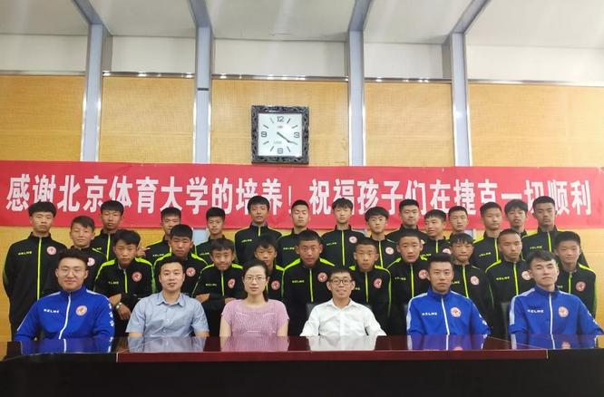 捷克与克罗地亚，一场激烈对决的预测分析 捷克vs克罗地亚预测
